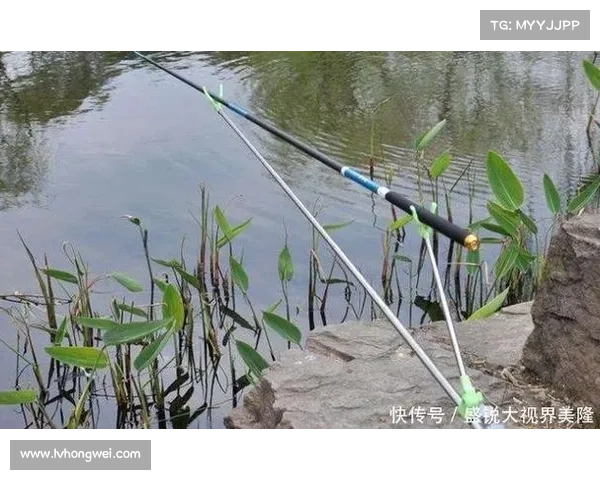 魔兽世界手柄钓鱼攻略：畅游水域，尽享垂钓之乐